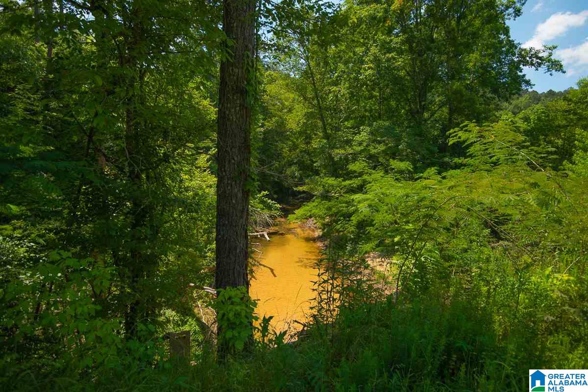 0 County Road 40, Unit 1 Arley, AL 35541 - Photo 8 of 11