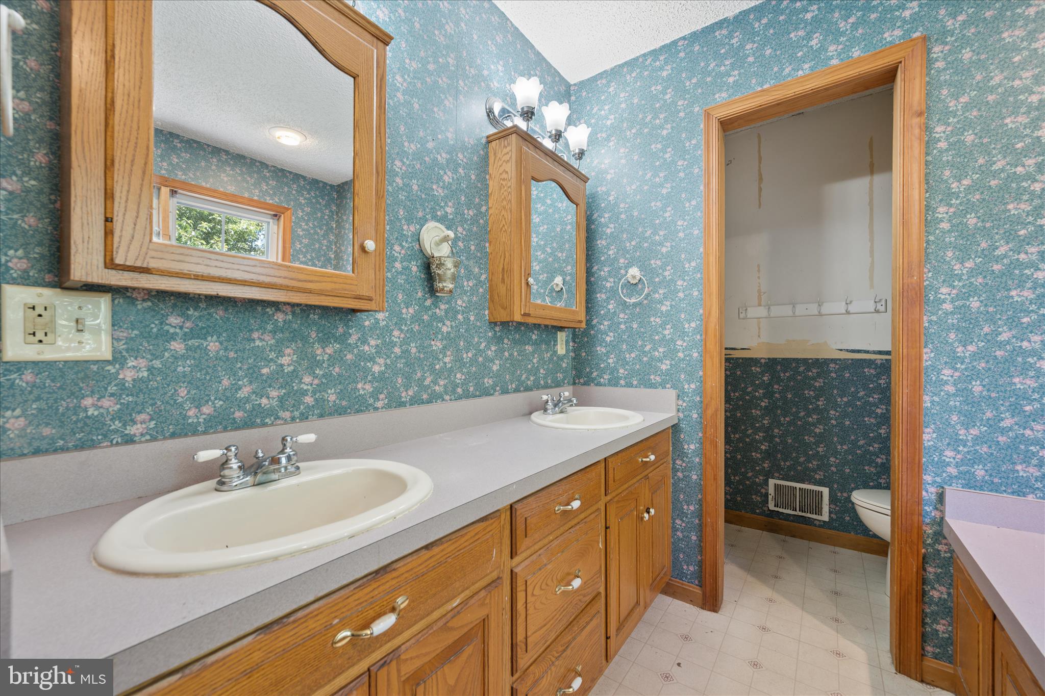 8354 Mountain Laurel Road Boonsboro, MD 21713 - Photo 19 of 91 Primary Bathroom