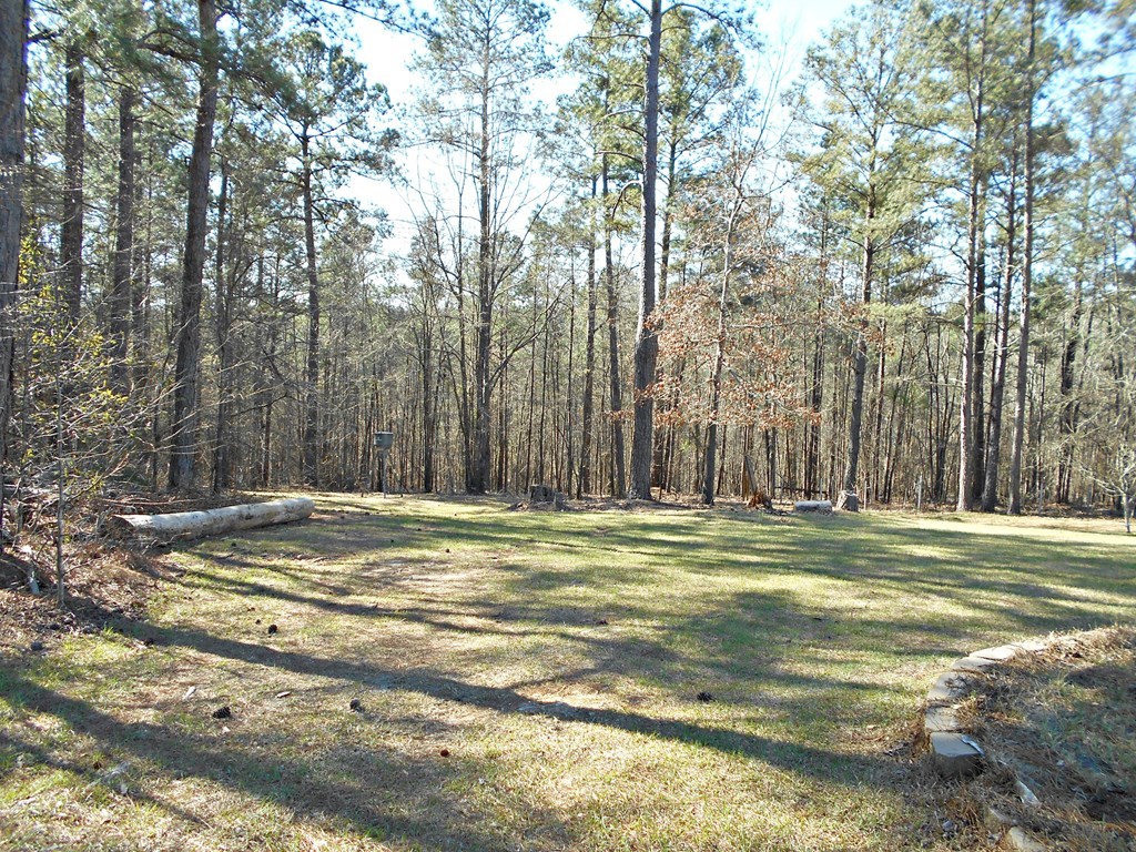 1135 Taylor Road Juliette, GA 31046 - Photo 11 of 12 a view of a trees in a yard