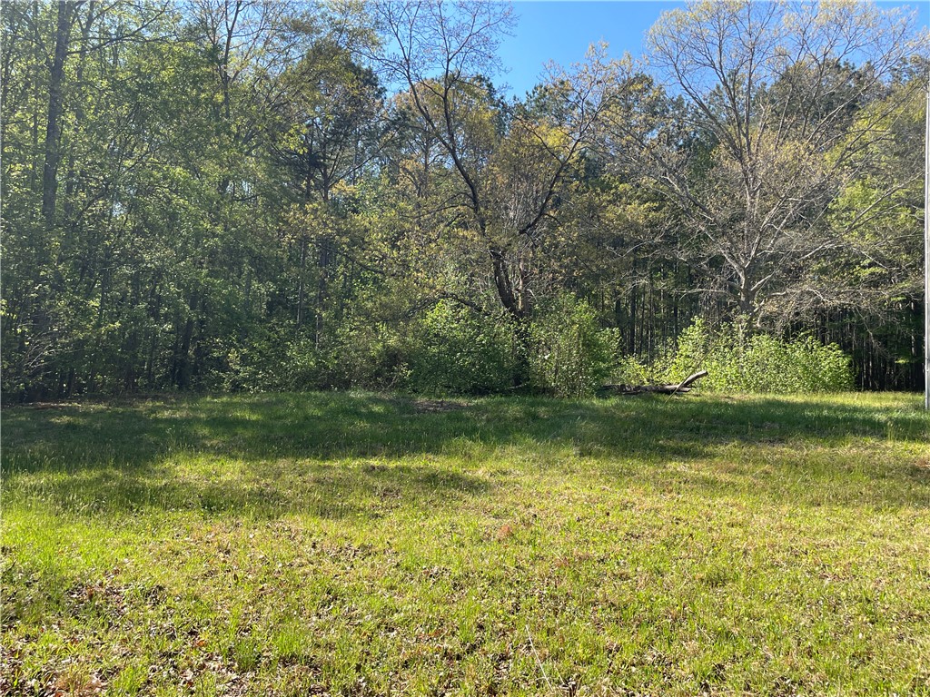 417 Belt Road Easley, SC 29640 - Photo 1 of 18