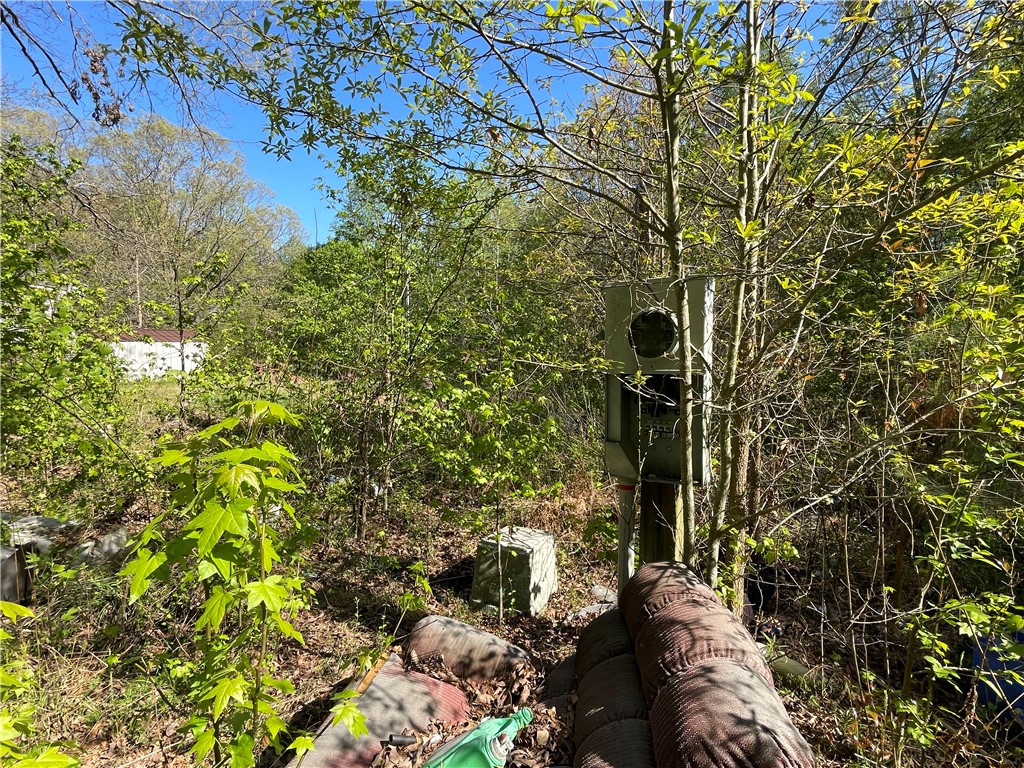 417 Belt Road Easley, SC 29640 - Photo 8 of 18