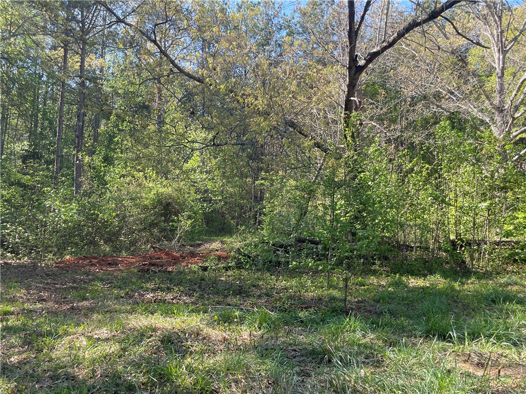 417 Belt Road Easley, SC 29640 - Photo 9 of 18