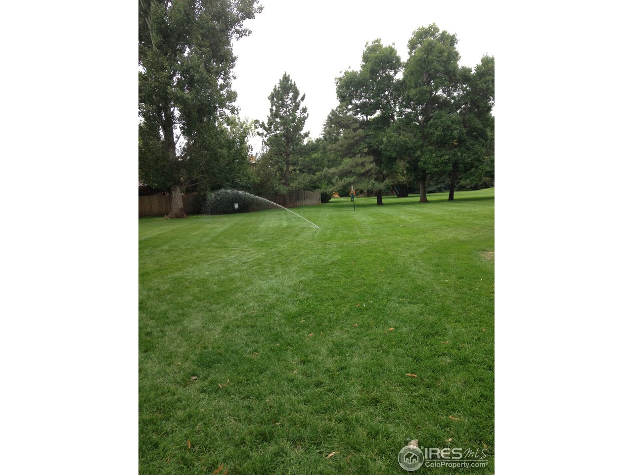 801 East Drake Road, Unit 69 Fort Collins, CO 80525 - Photo 3 of 9