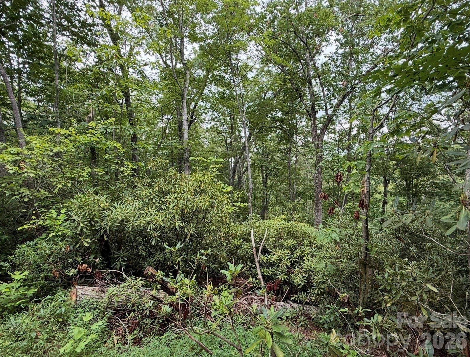 V/l Bat Cave Road Old Fort, NC 28762 - Photo 3 of 3