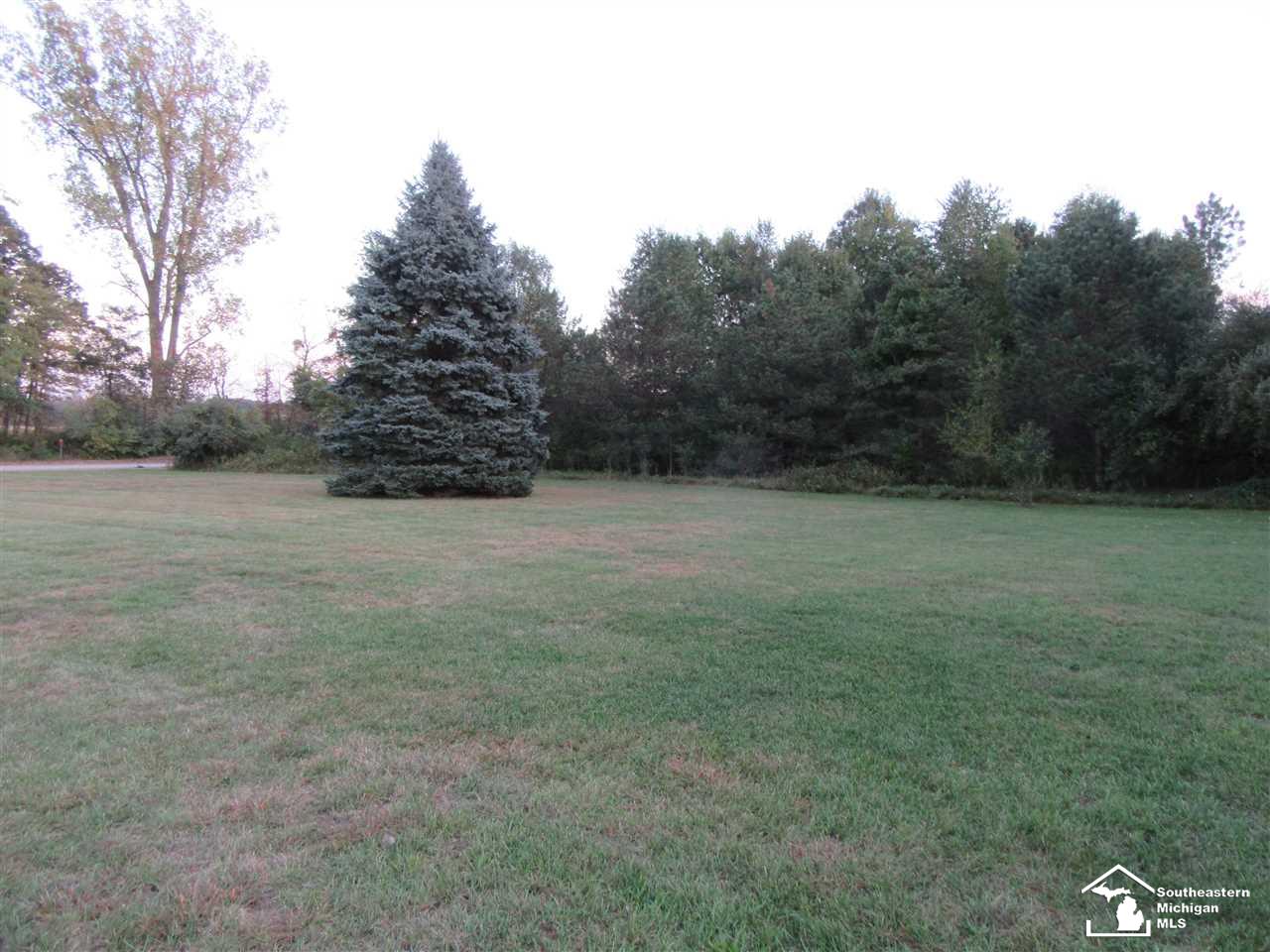 7122 Wells Road Petersburg, MI 49270 - Photo 12 of 38 31361886-11.JPG