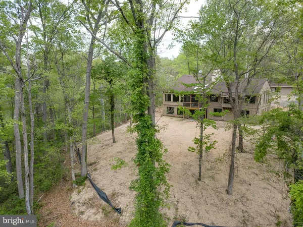 a view of yard