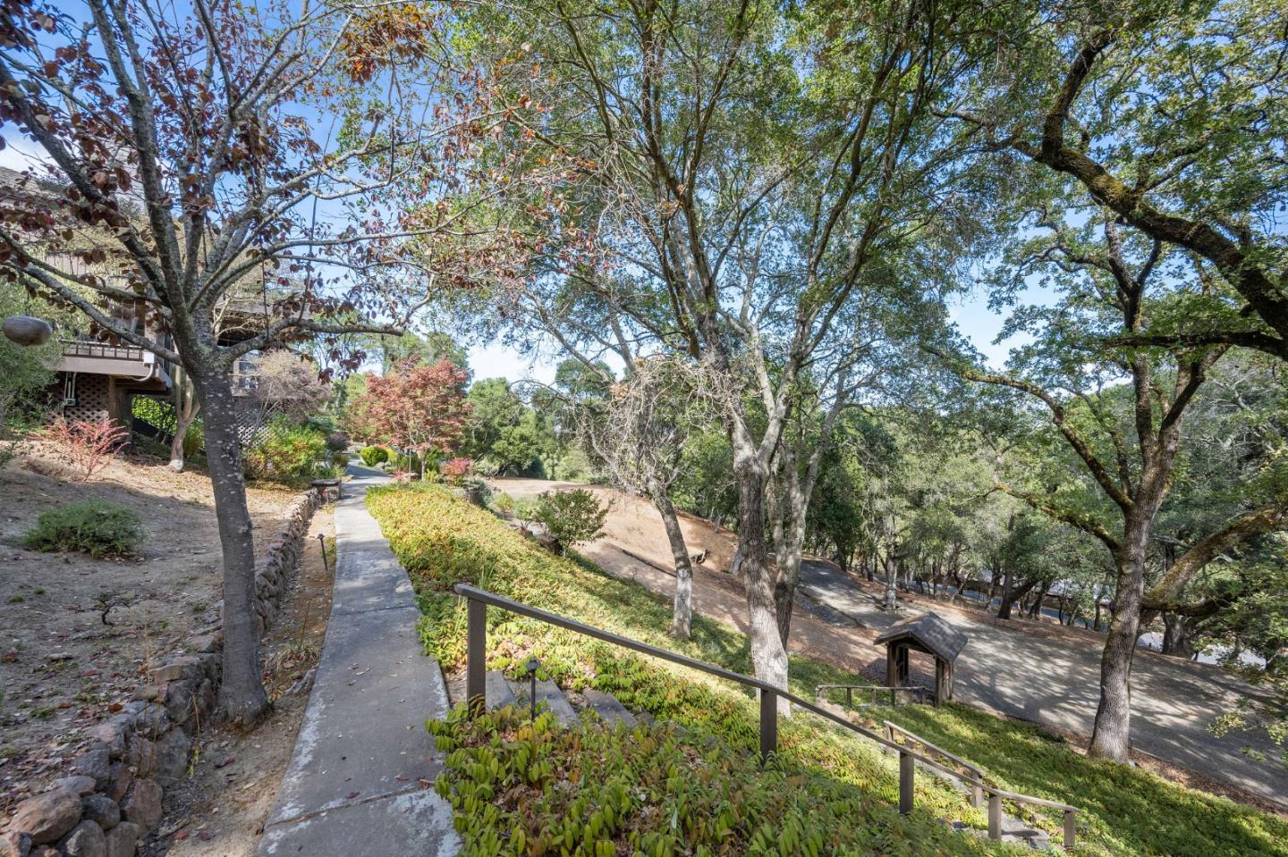 25 Preston Road Woodside, CA 94062 - Photo 58 of 71 a view of a yard with plants and large trees