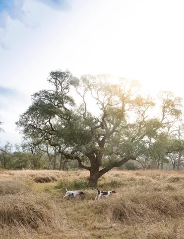 $1,250,000 | 100 Labrador Lane, Columbus, TX 78934