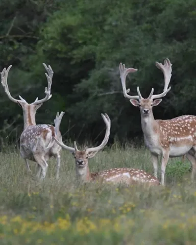 $1,250,000 | 100 Labrador Lane, Columbus, TX 78934