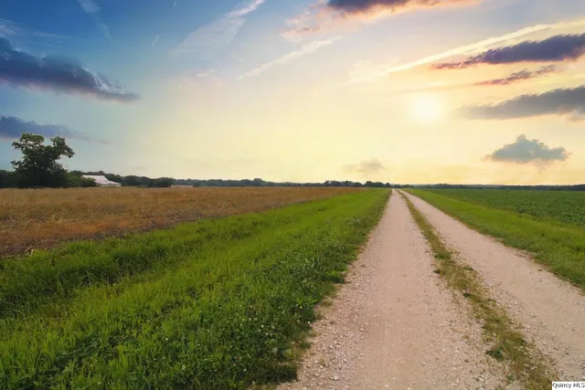 a view of a lake with a garden