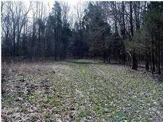 2 Cedarmore Road, Unit 2 Bagdad, KY 40003 - Photo 1 of 1 Primary Photo