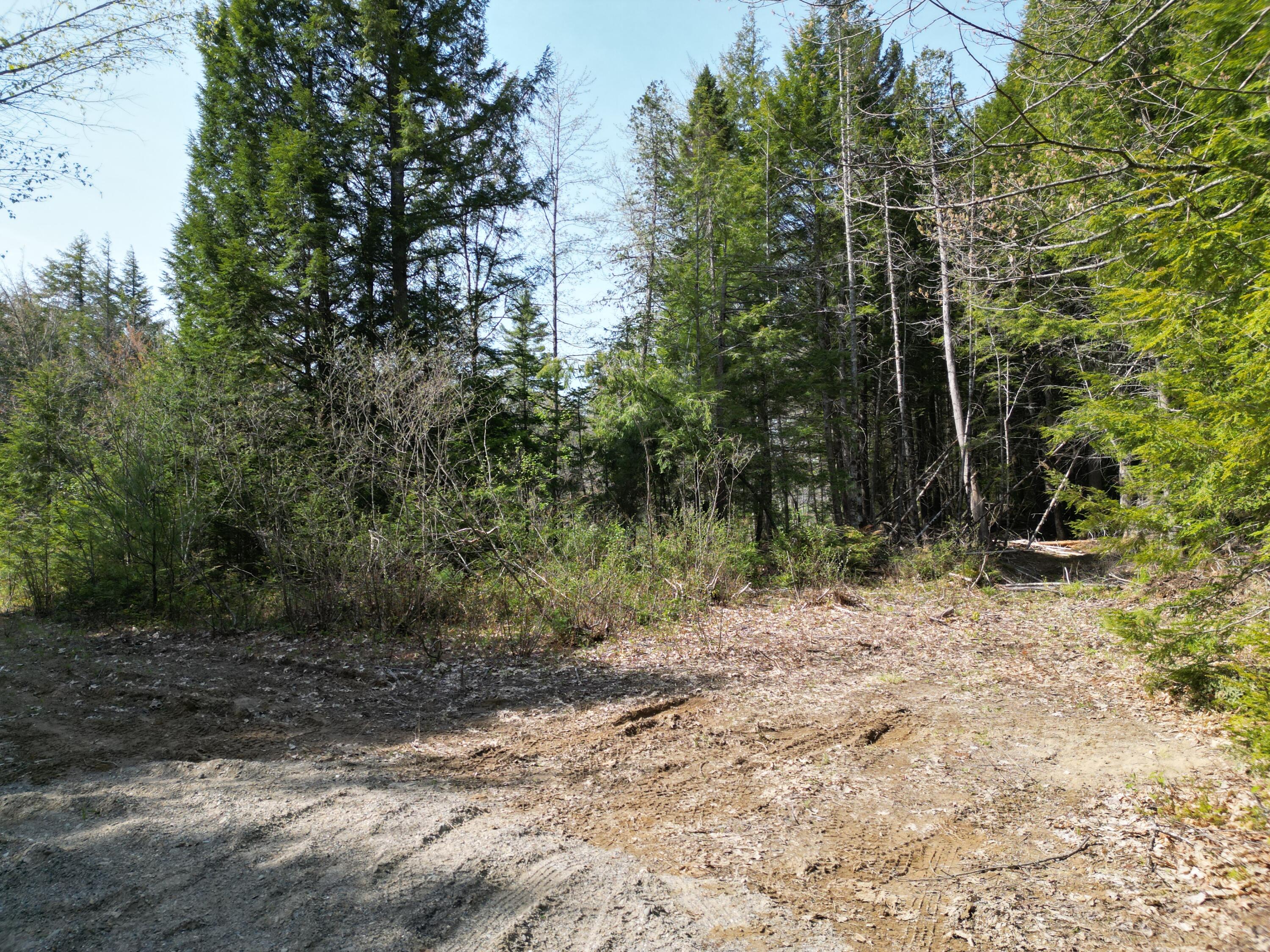 Lot 2 Off Mattamiscontis Road Howland, ME 04448 - Photo 7 of 16 DJI_0530
