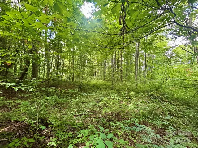 a view of yard with green space