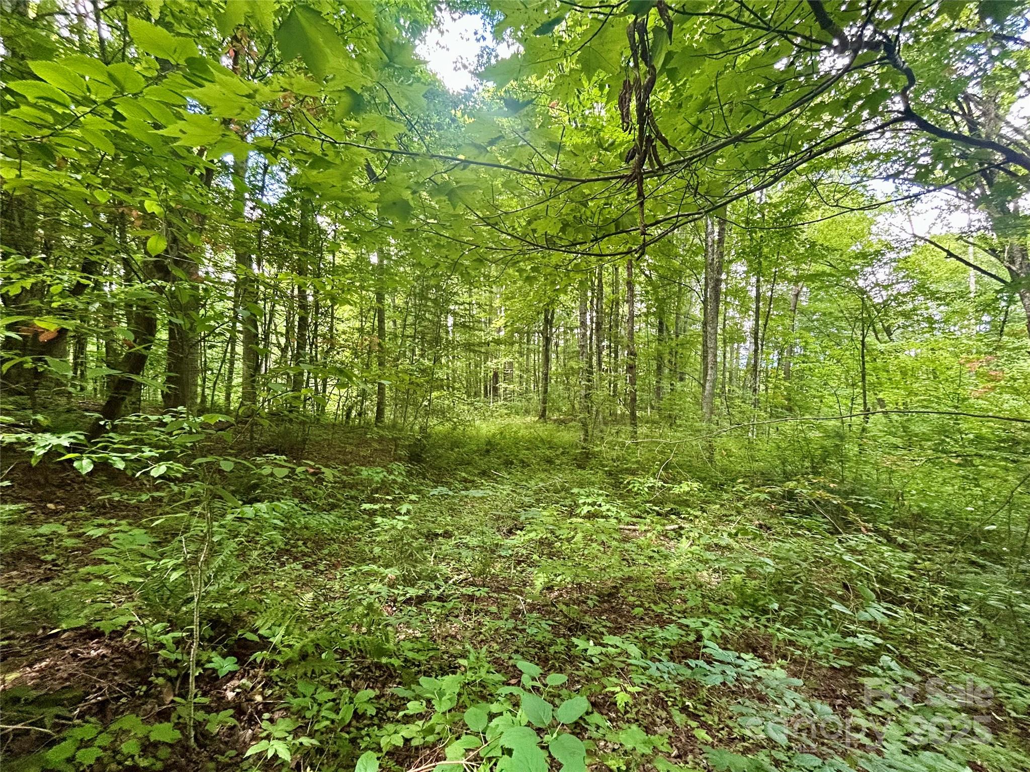 a view of yard with green space