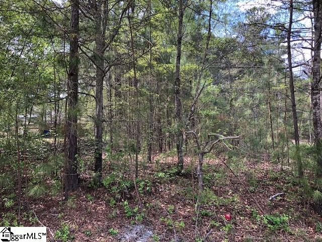 127 Chandler Road Pelzer, SC 29669 - Photo 1 of 1