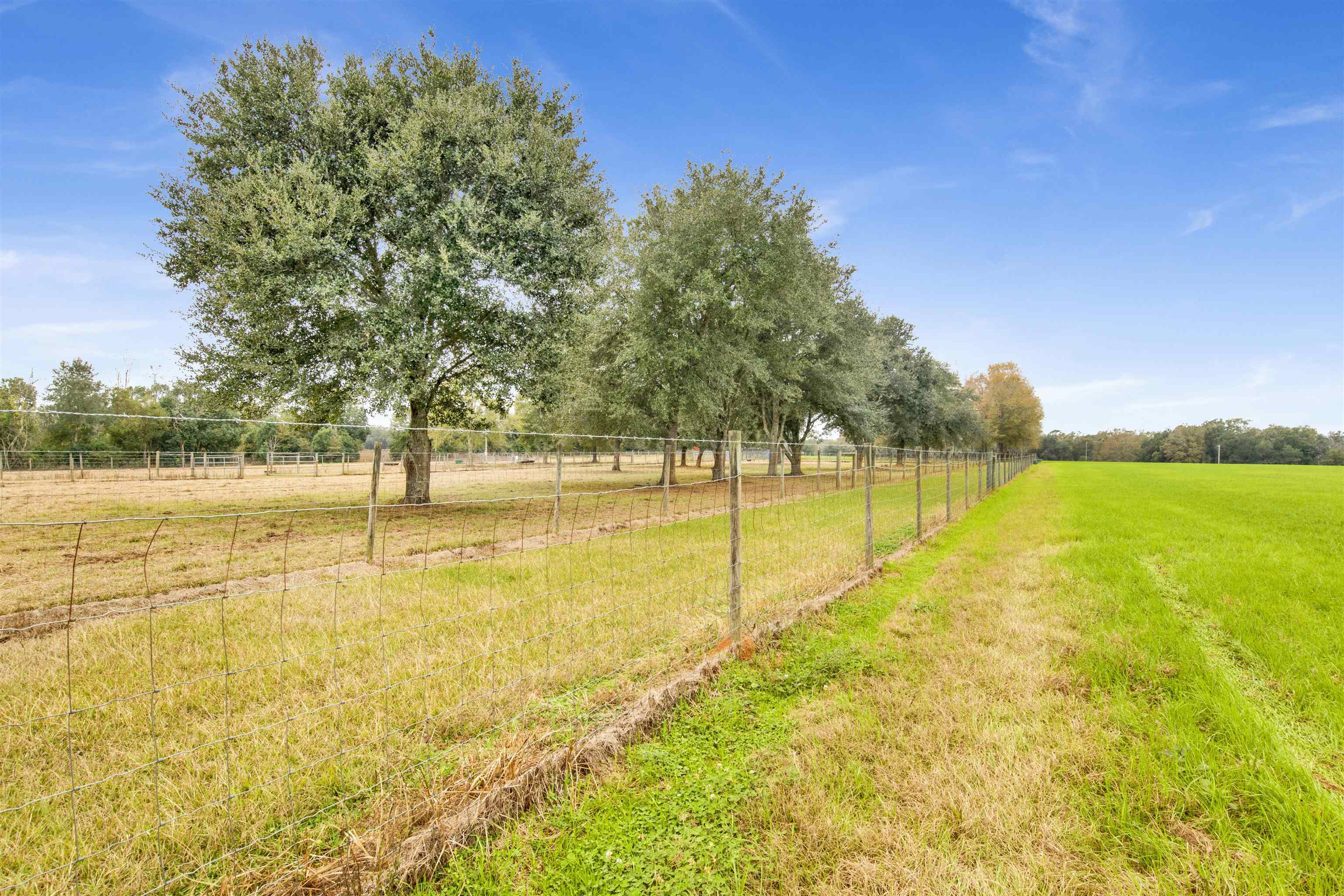 0 Newman Road Summerdale, AL 36580 - Photo 5 of 14