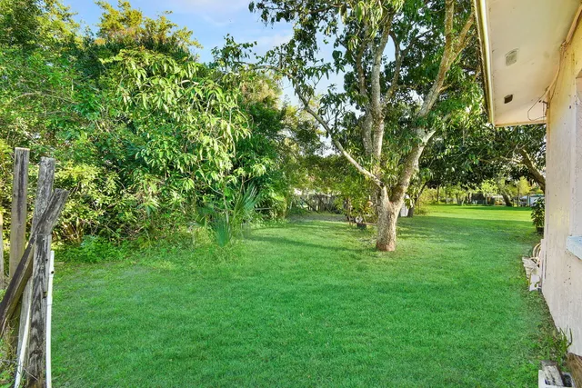 a view of green field with trees