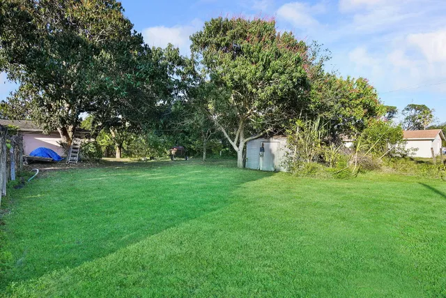 a view of yard with grass and trees