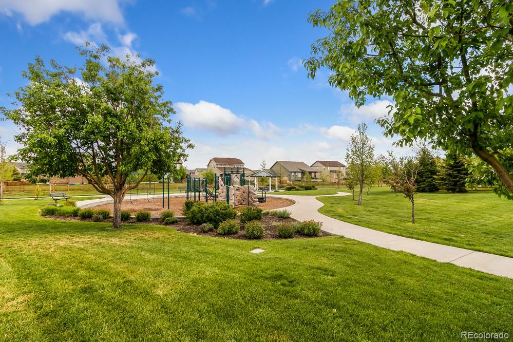 8591 Raspberry Drive Frederick, CO 80504 - Photo 24 of 26