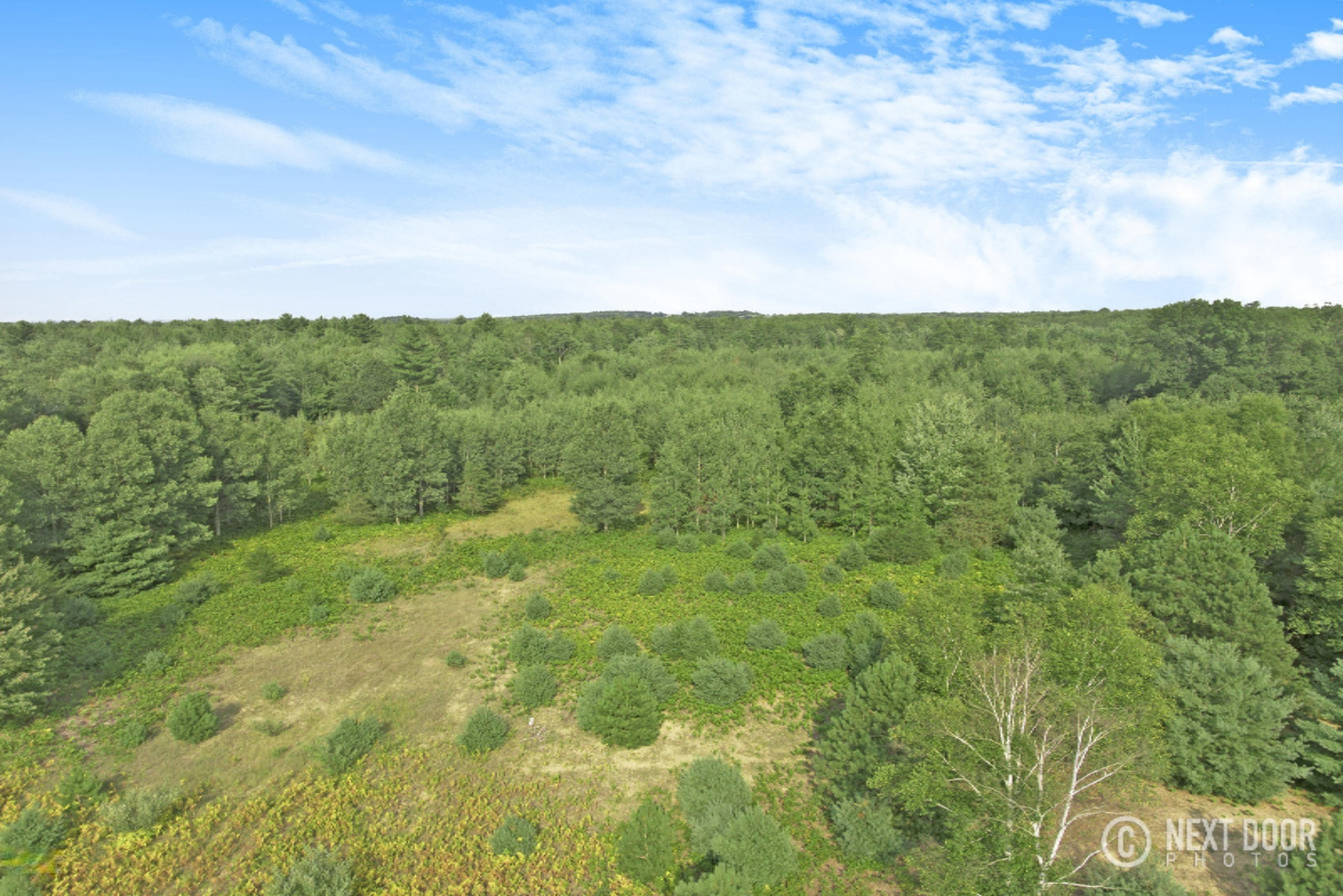 North Custer Road, Unit 80 Custer, MI 49405 - Photo 12 of 28 DJI_0012
