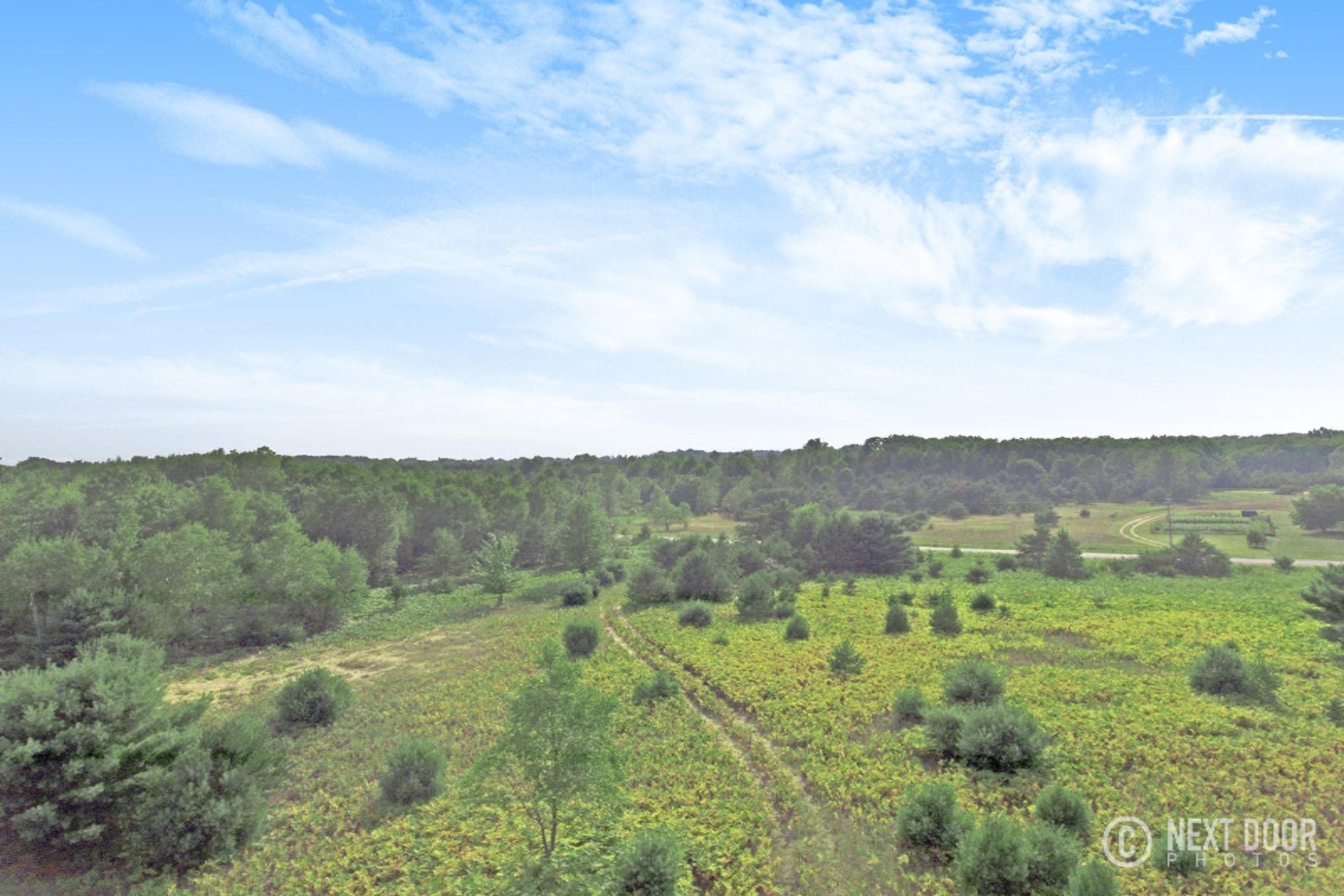 North Custer Road, Unit 80 Custer, MI 49405 - Photo 15 of 28 DJI_0015-1