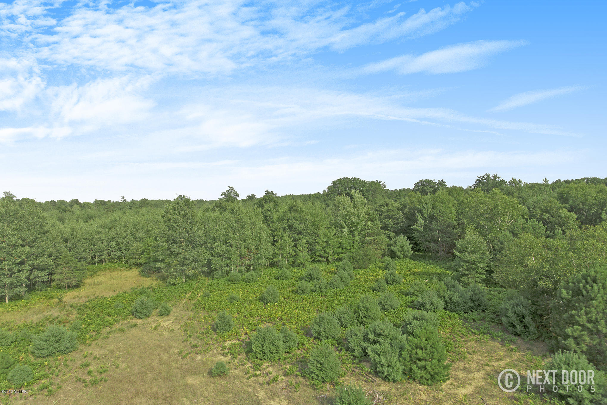 North Custer Road, Unit 80 Custer, MI 49405 - Photo 17 of 28 DJI_0017