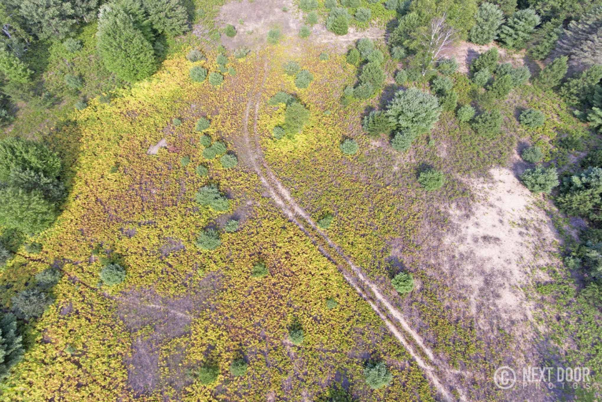 North Custer Road, Unit 80 Custer, MI 49405 - Photo 5 of 28 DJI_0005
