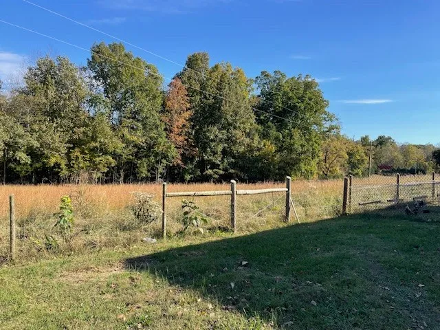 a view of yard with tree in the background