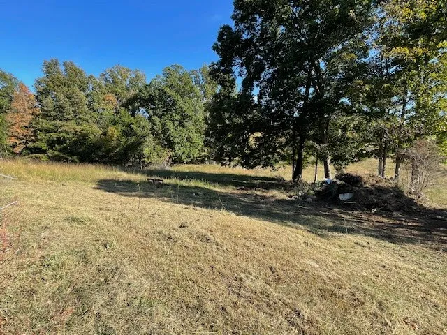 a view of a yard with a tree