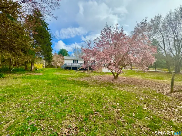 a view of a yard with a tree