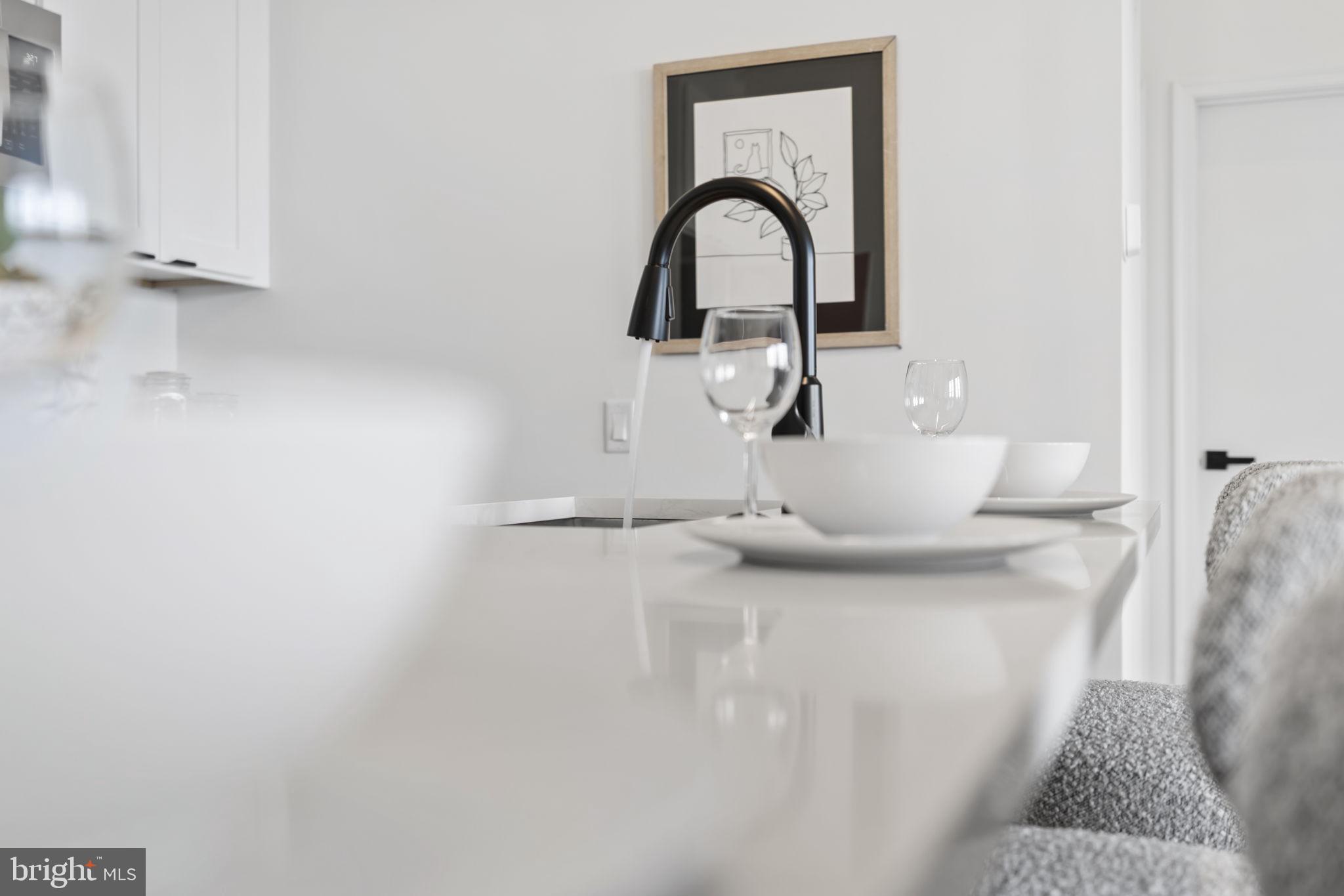 240 Hermitage Street, Unit 202 Philadelphia, PA 19127 - Photo 4 of 23 a close view of a sink and tap