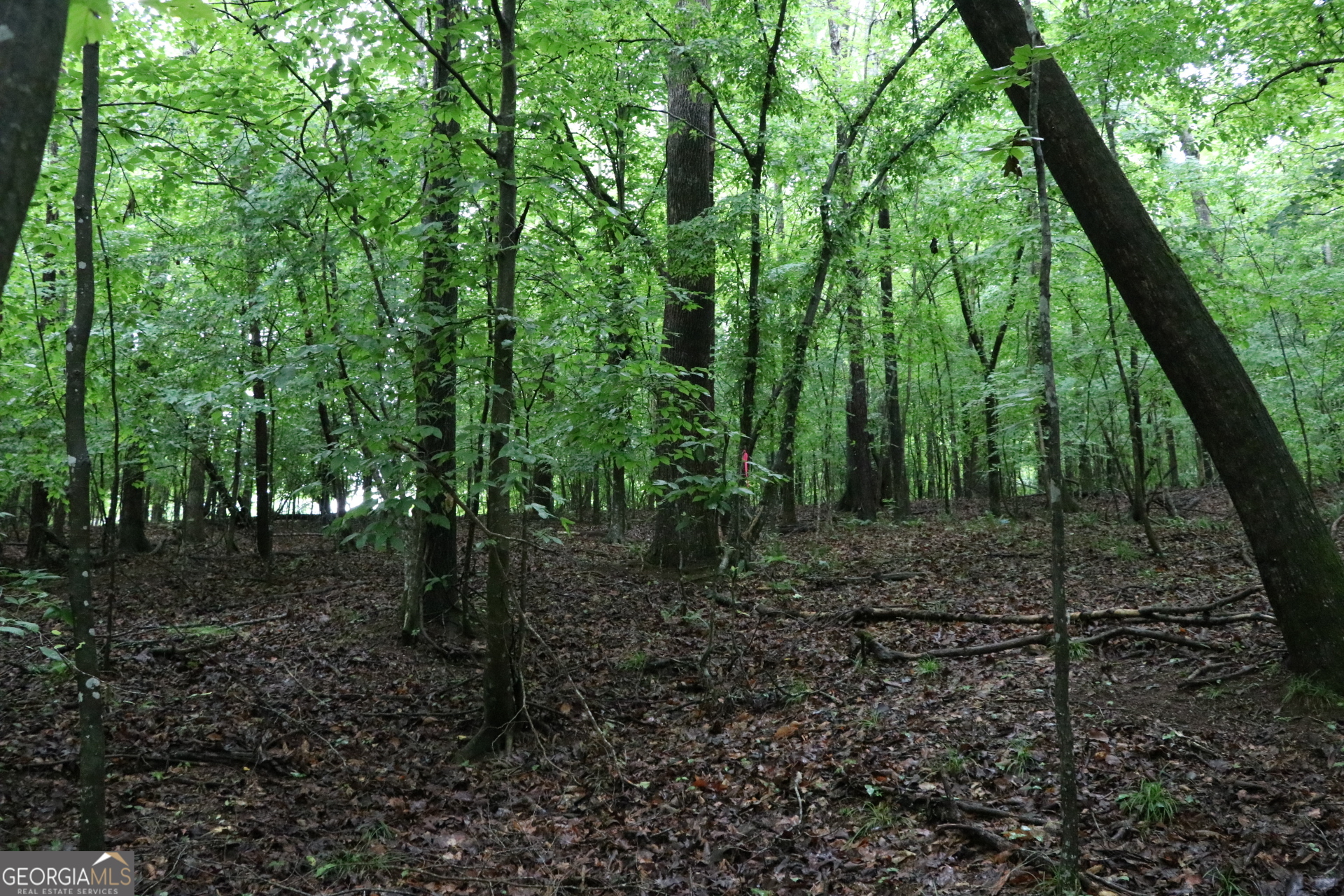 833 Neal Gap Road Summerville, GA 30747 - Photo 60 of 86