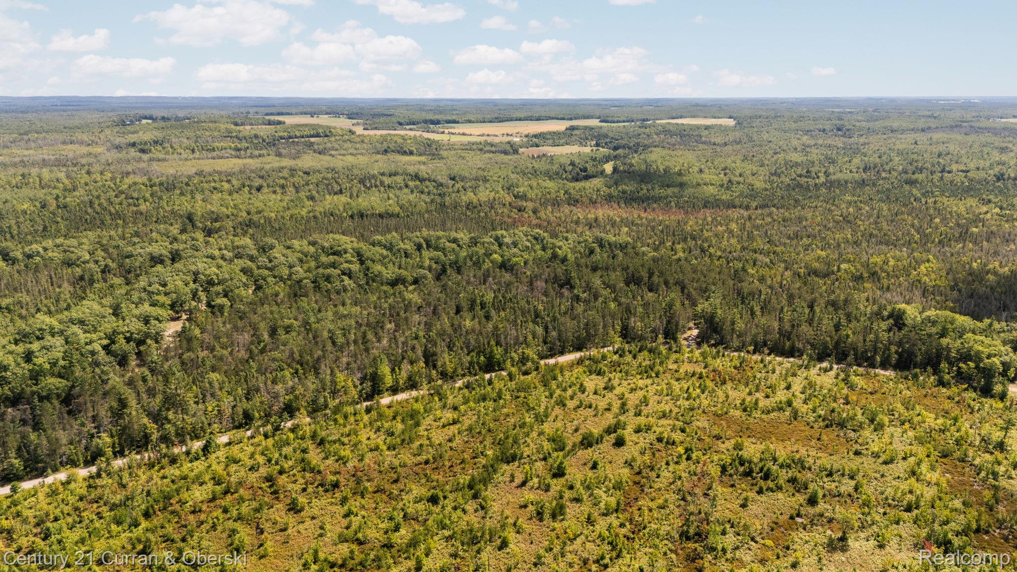 3265 Roost Road Onaway, MI 49765 - Photo 49 of 52 81-web-or-mls-DJI_20250829130444_0079_D_DJIJEL.jpg