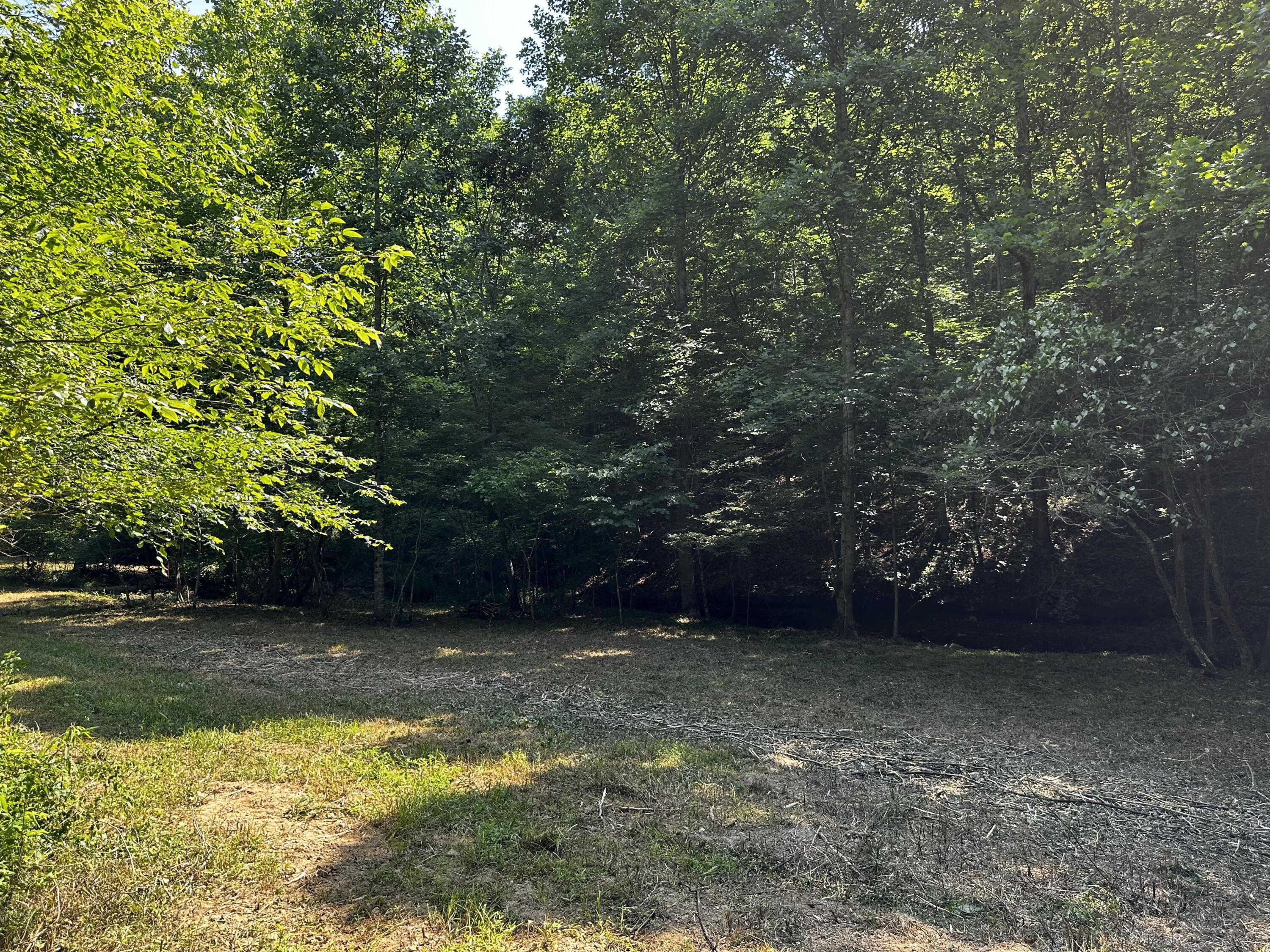 1101 Hull Road, Unit TRACT 9 WOODS WAYNE FOREST) Patriot, OH 45658 - Photo 30 of 61 20240621_150245400_iOS