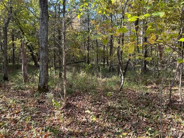 $179,500 | 2664 Hwy M Ironton Mo 63650, Ironton, MO 63650