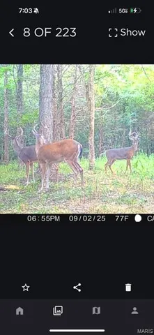 $179,500 | 2664 Hwy M Ironton Mo 63650, Ironton, MO 63650