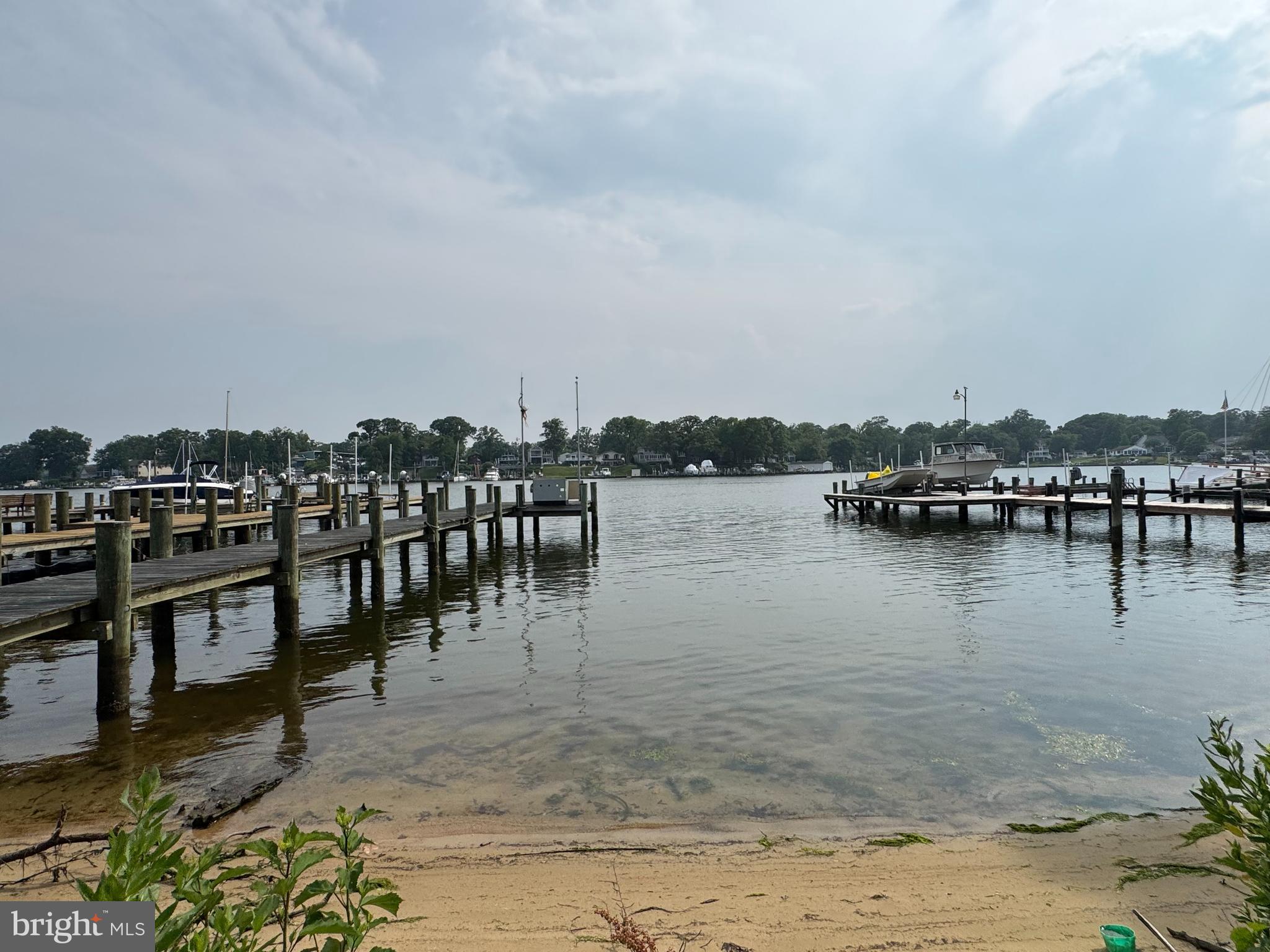 a view of a lake with boats and trees in the background