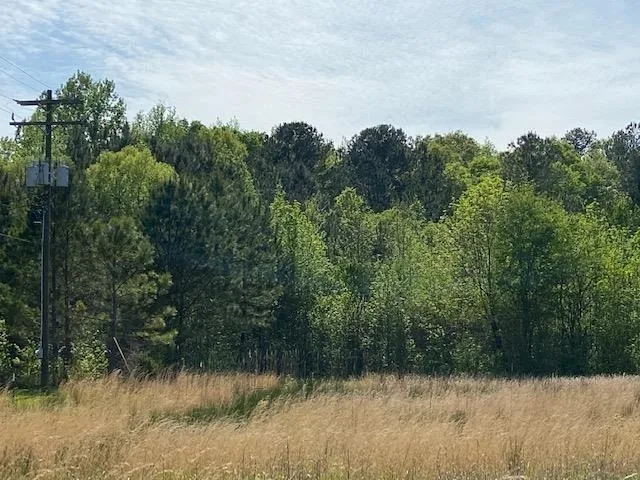 a view of an outdoor space and a yard