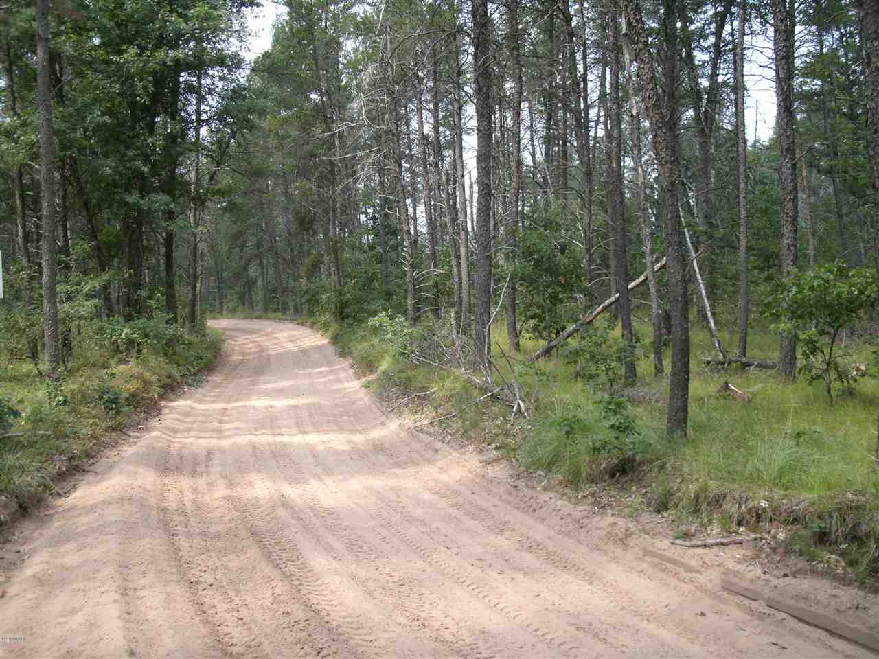 9 Mile Road Free Soil, MI 49411 - Photo 2 of 4