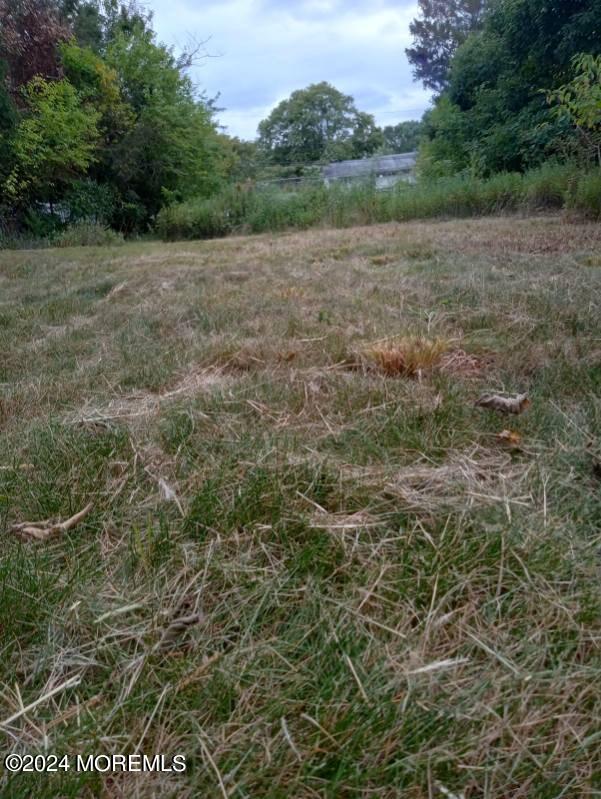 10 Lehigh Boulevard Jackson, NJ 08527 - Photo 2 of 9 a view of a field with trees in background