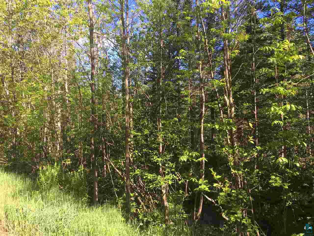 Two Reeves Road Two Harbors, MN 55616 - Photo 2 of 2