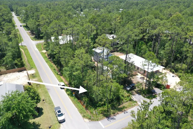 a view of a yard with plants and large trees