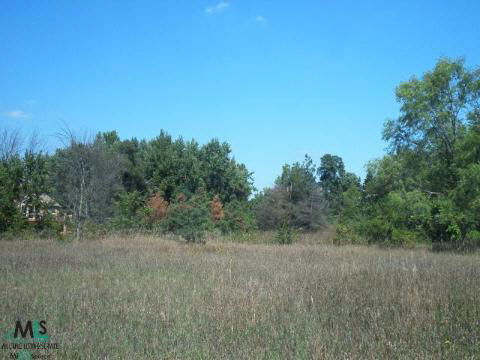 5410 Rochester Road Rochester, MI 48306 - Photo 7 of 10 911648-6.JPG