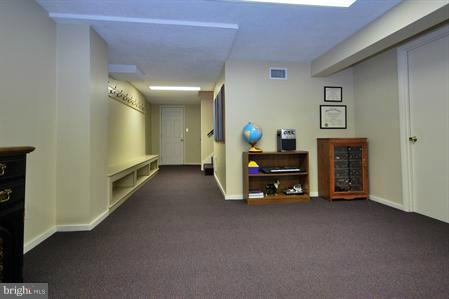 8409 Geneva Mason Road Potomac, MD 20854 - Photo 19 of 28 Basement