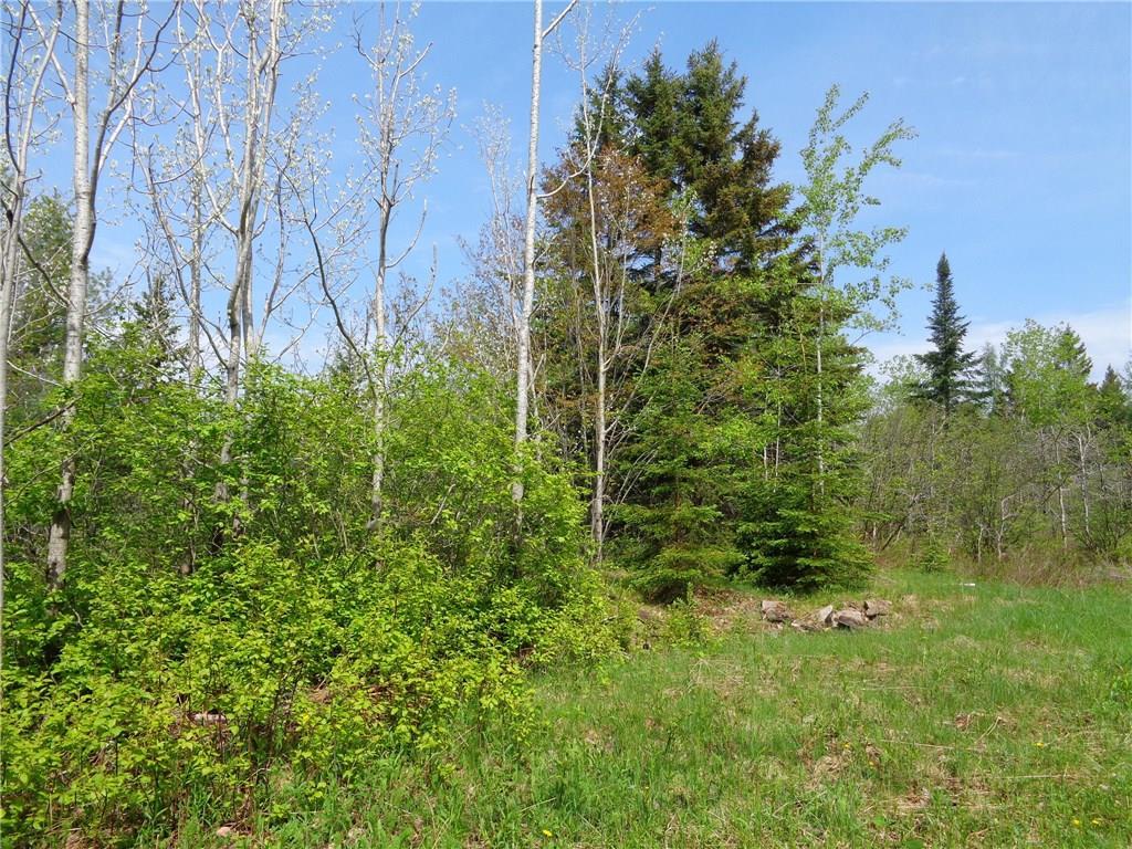 Lot 161 Cross Road Milbridge, ME 04658 - Photo 6 of 11 Photo