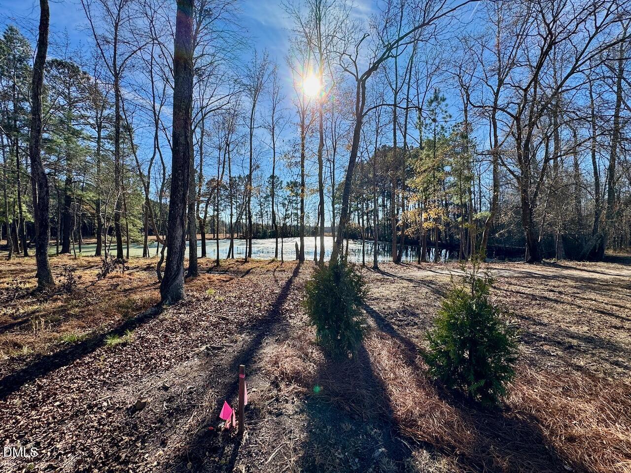 45 Covey Rise Way Lillington, NC 27546 - Photo 62 of 64 Pond at Griffon Pointe