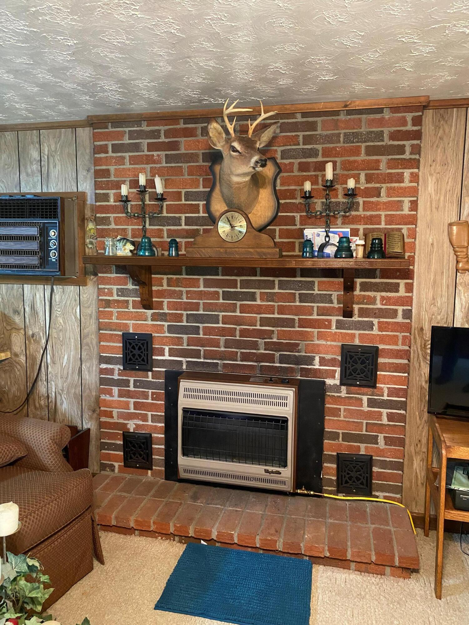 10484 Pretty Ridge Wellington, KY 40387 - Photo 5 of 19 fireplace