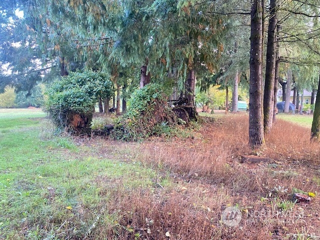 118 Brockway Road Chehalis, WA 98532 - Photo 8 of 13