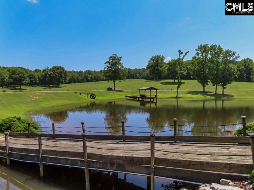 3296 Flat Rock Road Kershaw, SC 29067 - Photo 54 of 94