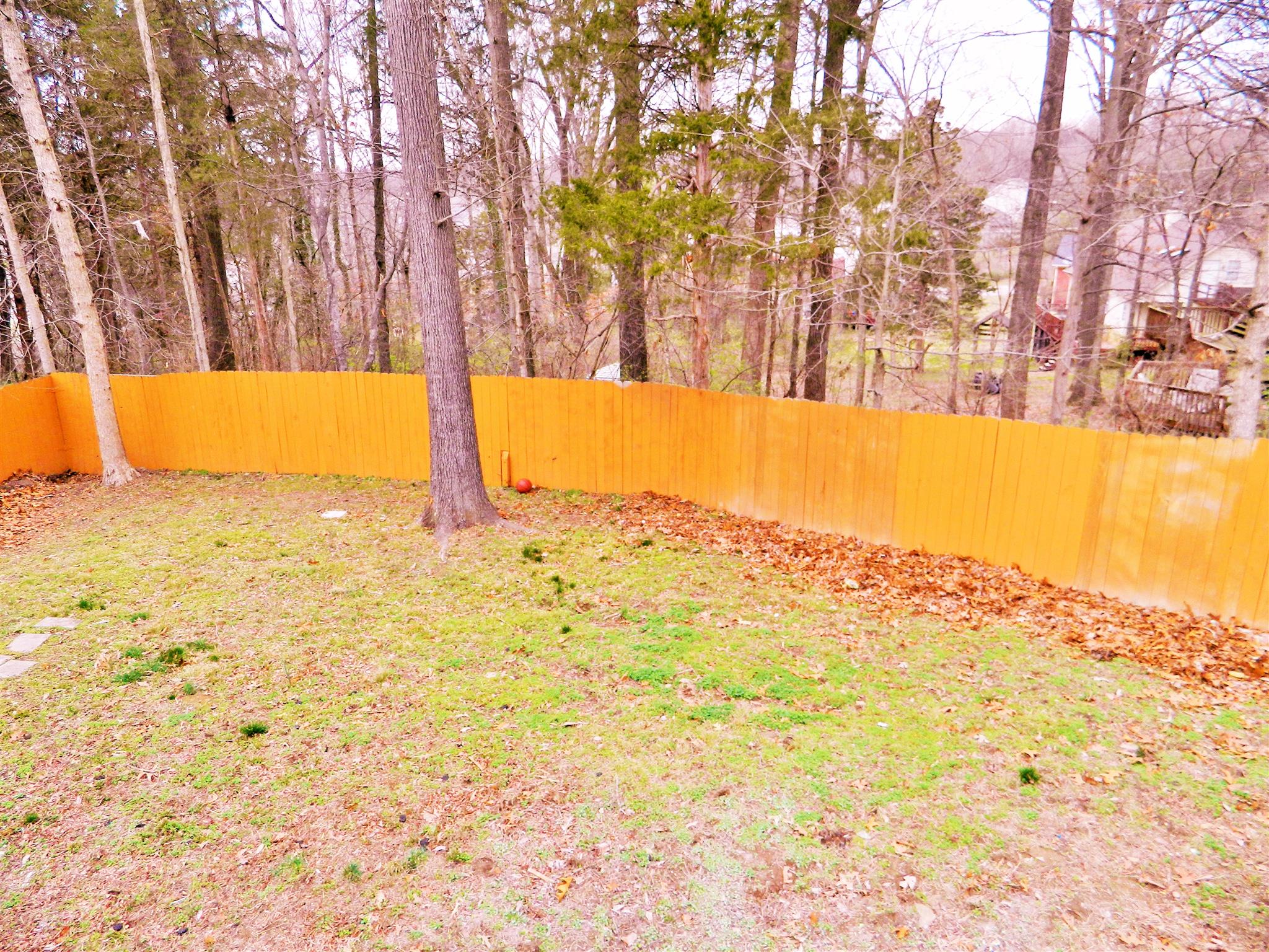 881 Bishopsgate Road Antioch, TN 37013 - Photo 16 of 19 a view of yard with swimming pool and trees
